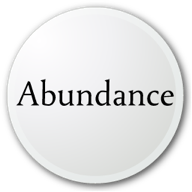 Life-organizer-magnet-abundance
